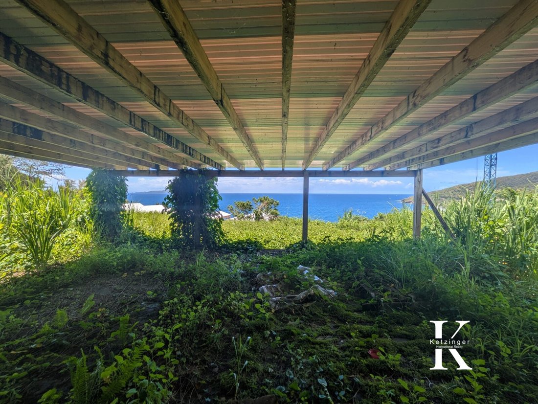 House in Trois-Rivières, Basse-Terre, Guadeloupe 5 - 18012158