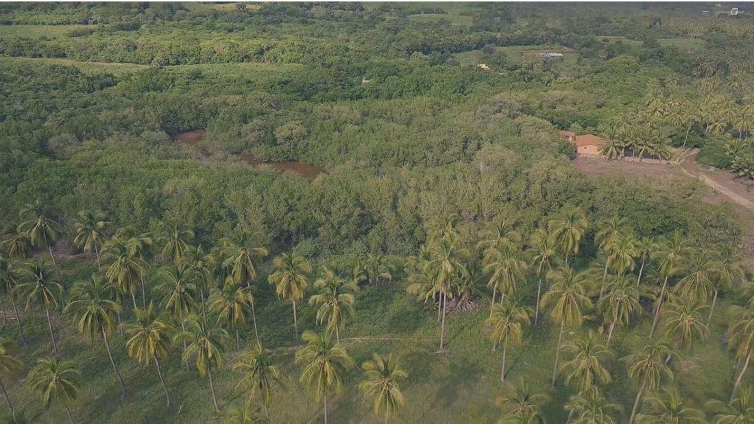 Terrain à Zihuatanejo, Guerrero, Mexique 3 - 18006523