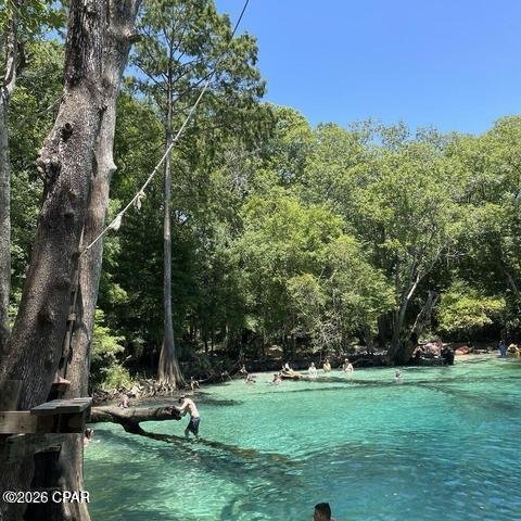 Farm Ranch in Kinard, Florida, United States 5 - 18008141