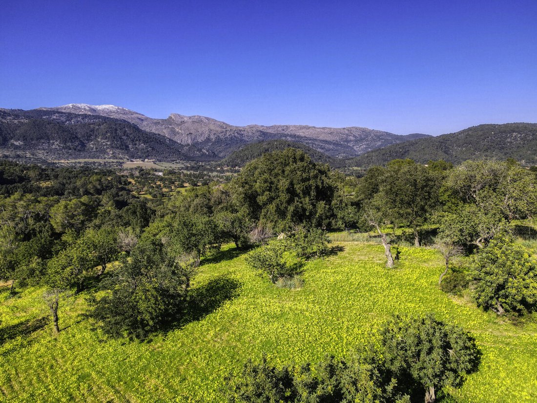 Land in Campanet, Balearic Islands, Spain 4 - 18009311