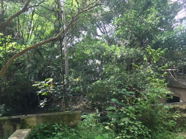 Land in Caracas, Capital District, Venezuela 2 - 18006688