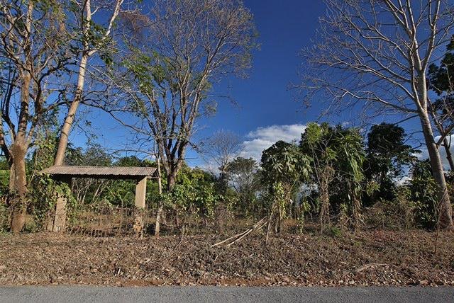 Land in Espíritu Santo, Puntarenas Province, Costa Rica 5 - 18004839