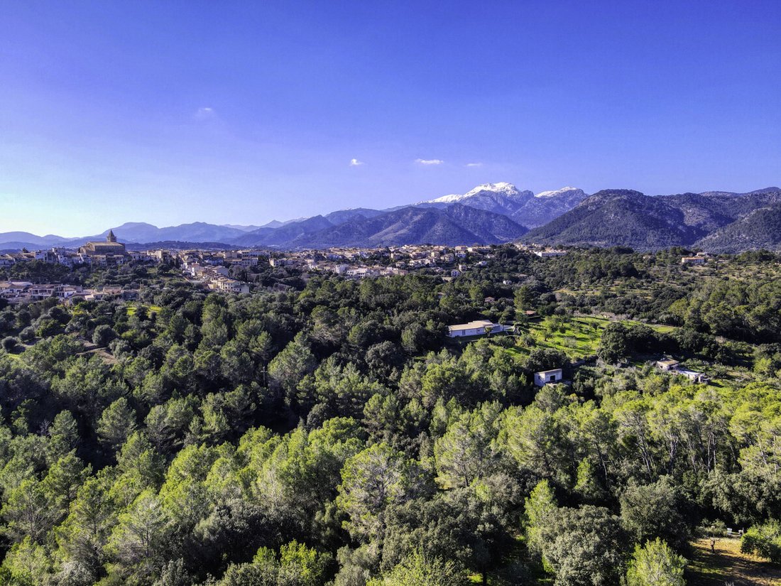 Land in Campanet, Balearic Islands, Spain 1 - 18009311
