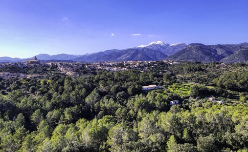 Terrain à Campanet, Îles Baléares, Espagne 1