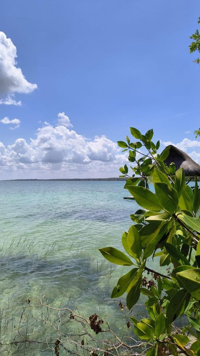 Terreno a Bacalar, Quintana Roo, Messico 4 - 18006728