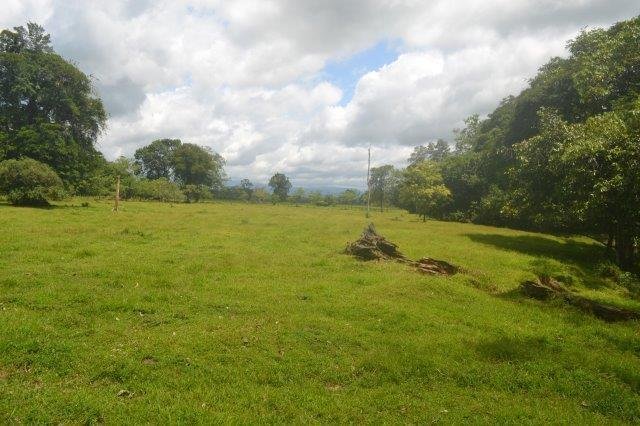 Land in Río Frío, Heredia Province, Costa Rica 4 - 18004675