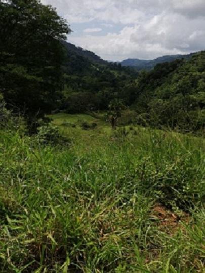 Land in Jacó, Provinz Puntarenas, Costa Rica 3 - 18004727