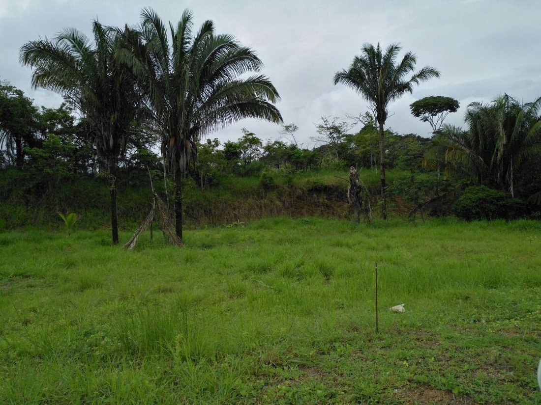 Land in Espíritu Santo, Puntarenas Province, Costa Rica 3 - 18004839