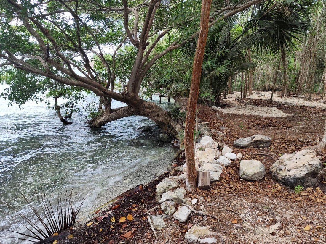 Terreno a Bacalar, Quintana Roo, Messico 3 - 18006728