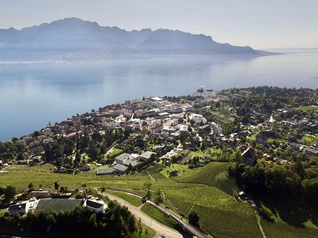 Villa in Chernex, Waadt, Schweiz 1 - 16886285