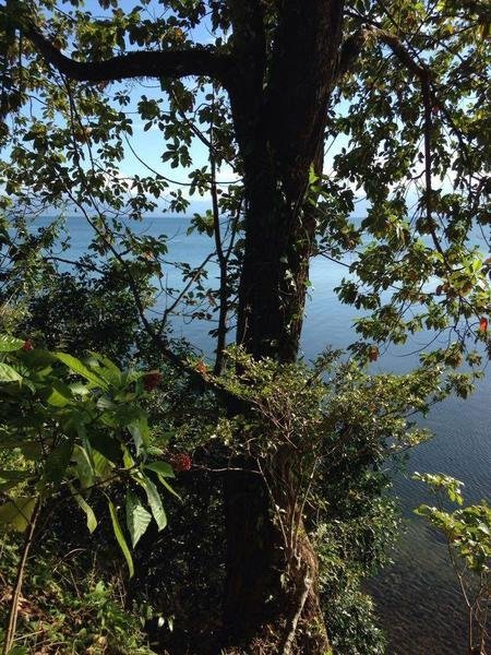 Land in Punta Laurel, Bocas del Toro Province, Panama 5 - 18004554