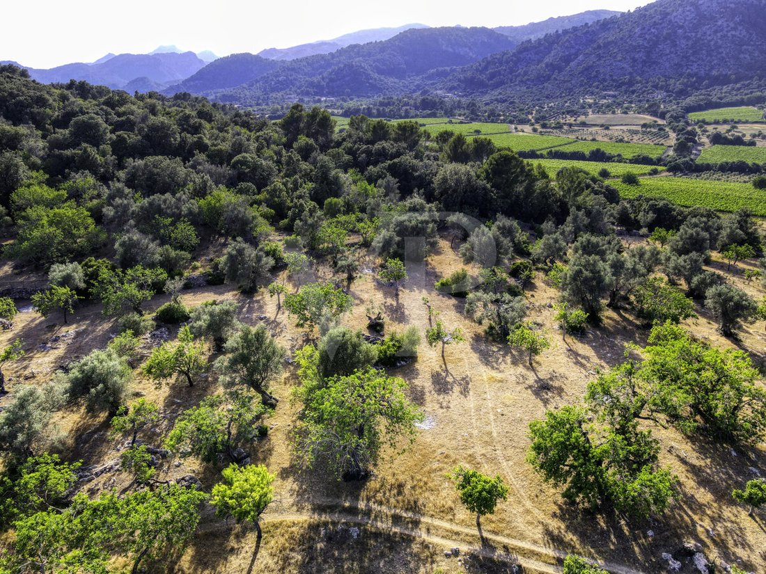 Finca in Pollenca, Balearic Islands, Spain 5 - 18009011
