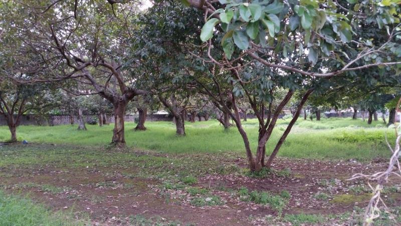 Land in Flores, Flores, Costa Rica 2 - 18004529
