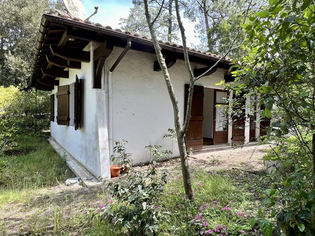 House in Cazaux, La Teste-de-Buch, France 5 - 18005549
