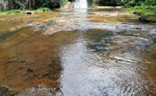 Land in Jacó, Provinz Puntarenas, Costa Rica 1