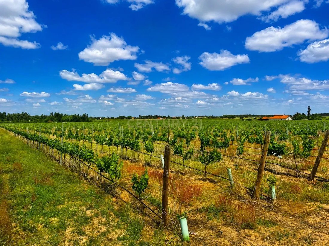 Land in Poceirao e Marateca, Setubal, Portugal 2 - 18009605