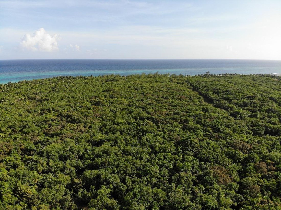 Land in Punta Maroma, Quintana Roo, Mexico 5 - 18006546