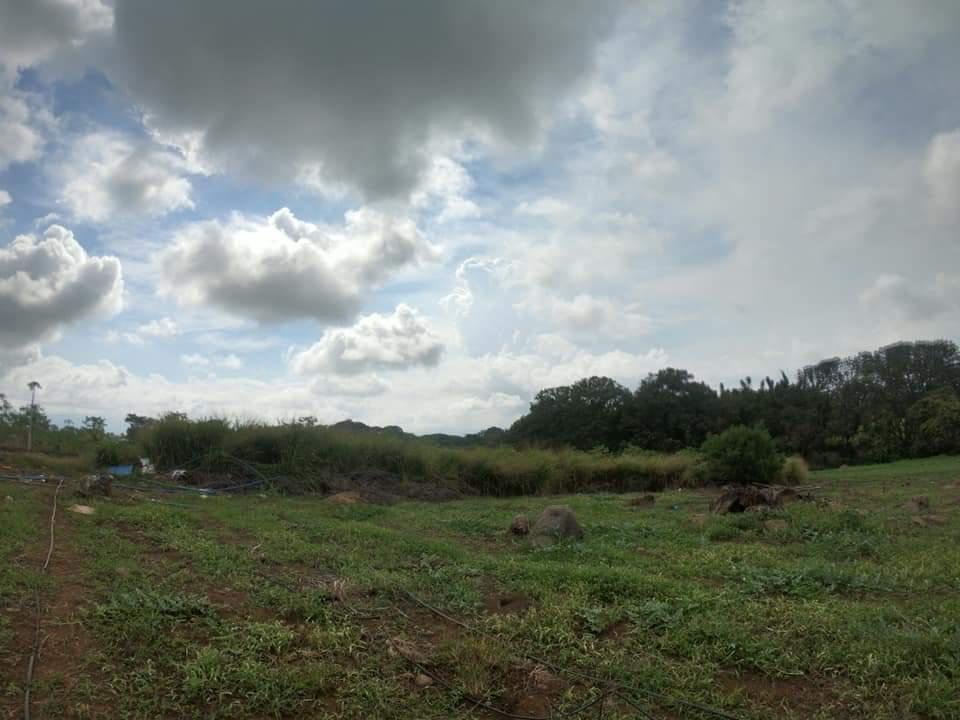 Land in Alajuela, Alajuela, Costa Rica 2 - 18004591