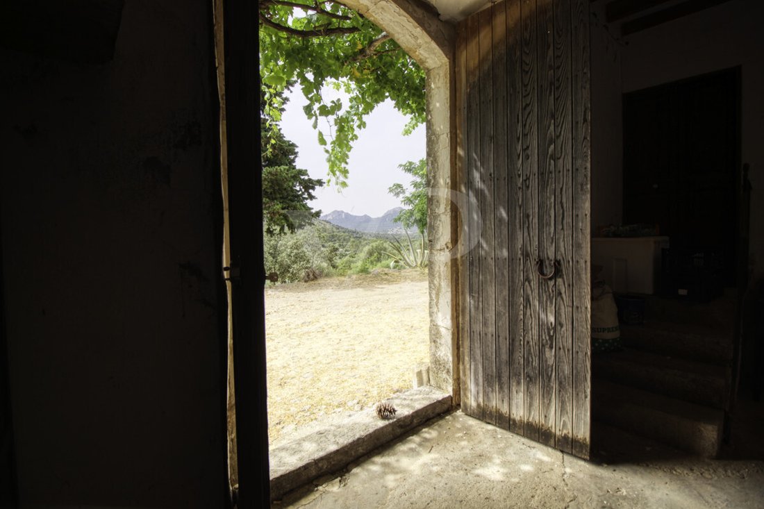 Altro a Escorca, Isole Baleari, Spagna 4 - 18008858