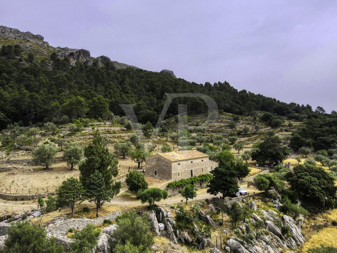 Altro a Escorca, Isole Baleari, Spagna 2 - 18008858