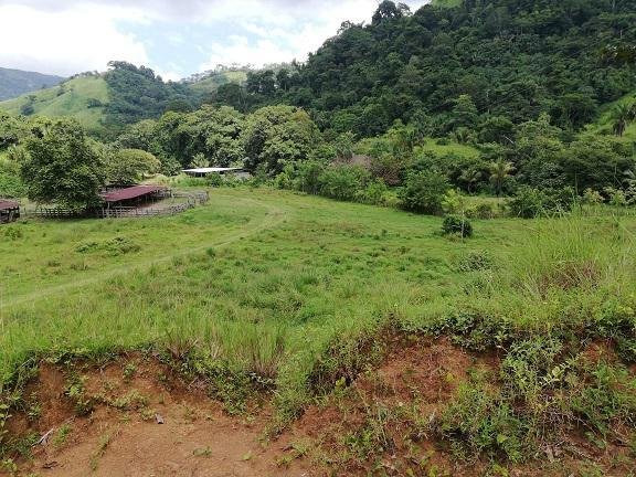 Land in Jacó, Provinz Puntarenas, Costa Rica 4 - 18004727