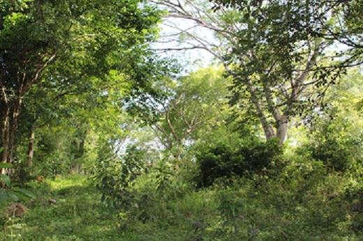 Land in San José, Guanacaste Province, Costa Rica 2 - 18004719