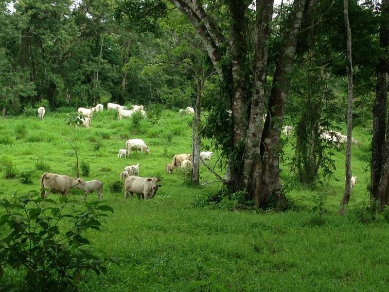 House in Cañas, Guanacaste Province, Costa Rica 5 - 18004582