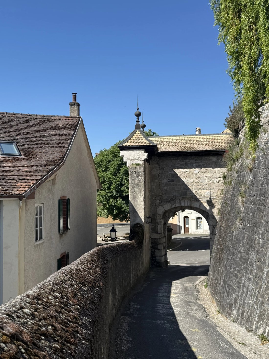 Estate in Saint-Livres, Vaud, Switzerland 3 - 18006480