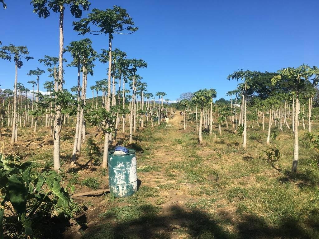 Land in San José, Guanacaste Province, Costa Rica 4 - 18004737