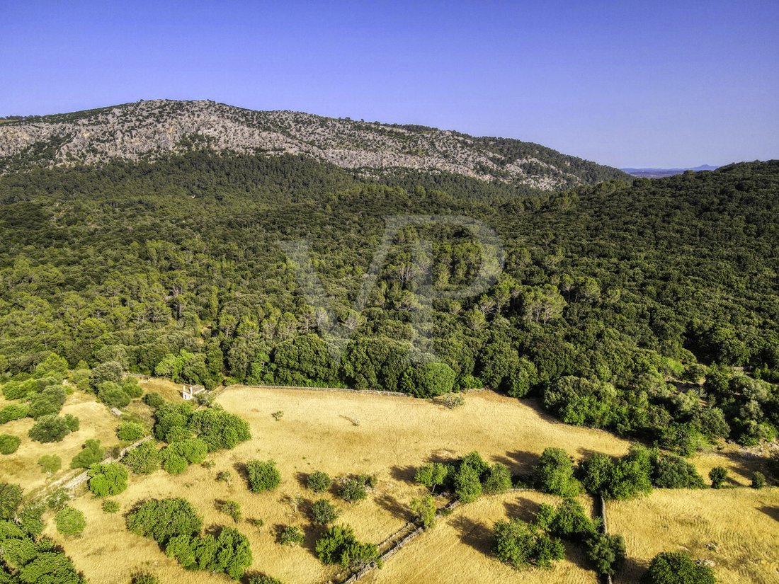Finca in Pollenca, Balearic Islands, Spain 4 - 18009011