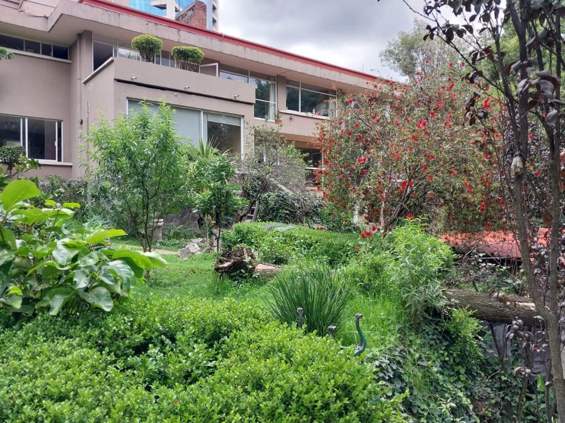 House in Mexico City, Mexico City, Mexico 5 - 18006662