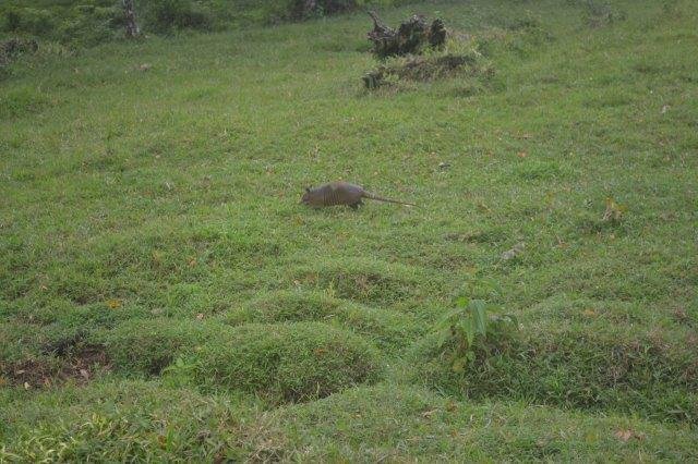 Land in Río Frío, Heredia Province, Costa Rica 1 - 18004675