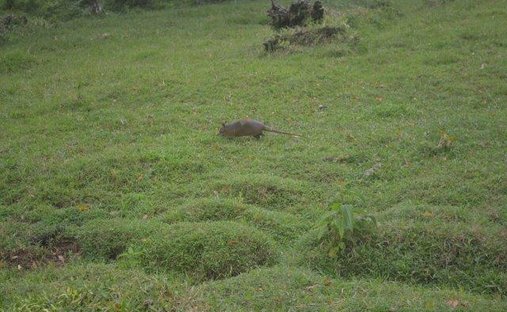 Land in Río Frío, Heredia Province, Costa Rica 1