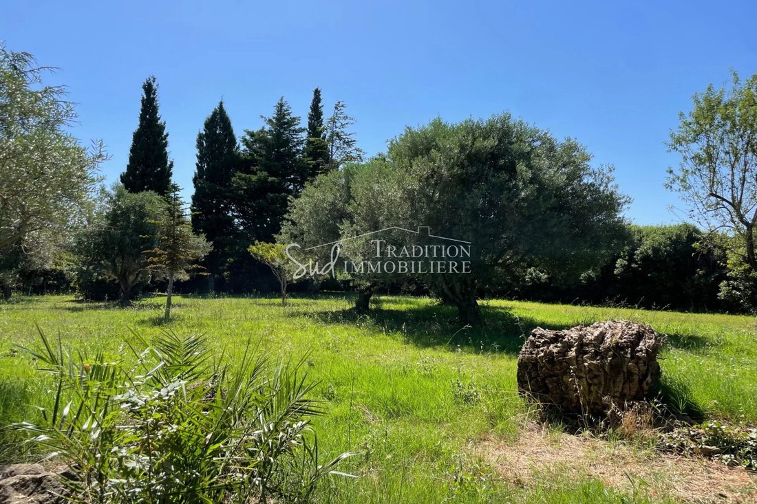 Villa in Maussane-les-Alpilles, Provence-Alpes-Côte d'Azur, France 3 - 17842094