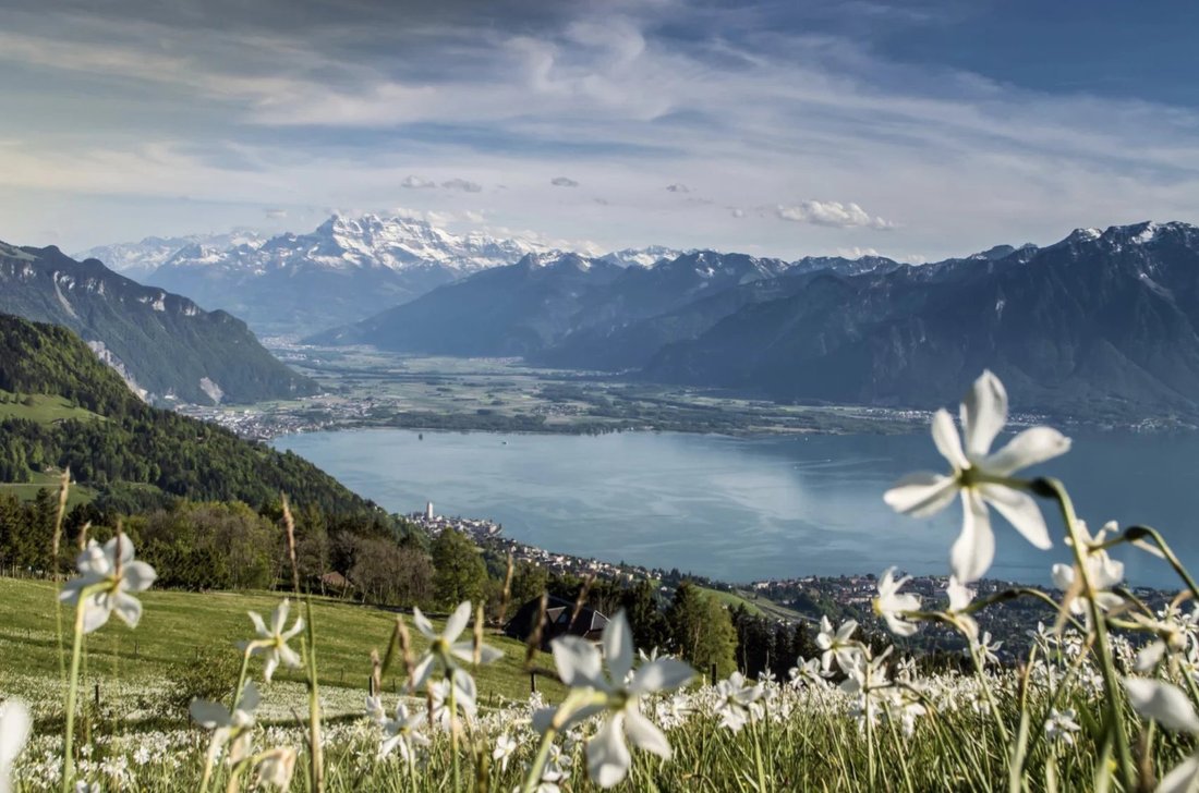 House in Montreux, Vaud, Switzerland 1 - 16474393