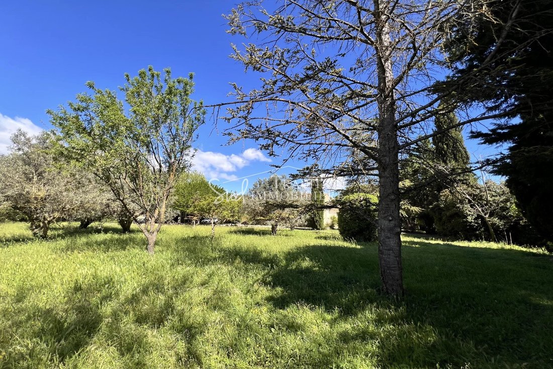 Villa in Maussane-les-Alpilles, Provence-Alpes-Côte d'Azur, France 4 - 17842094
