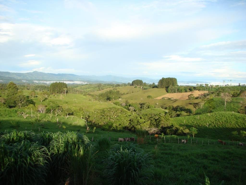 Farm Ranch in San Vito, Puntarenas Province, Costa Rica 4 - 18004782