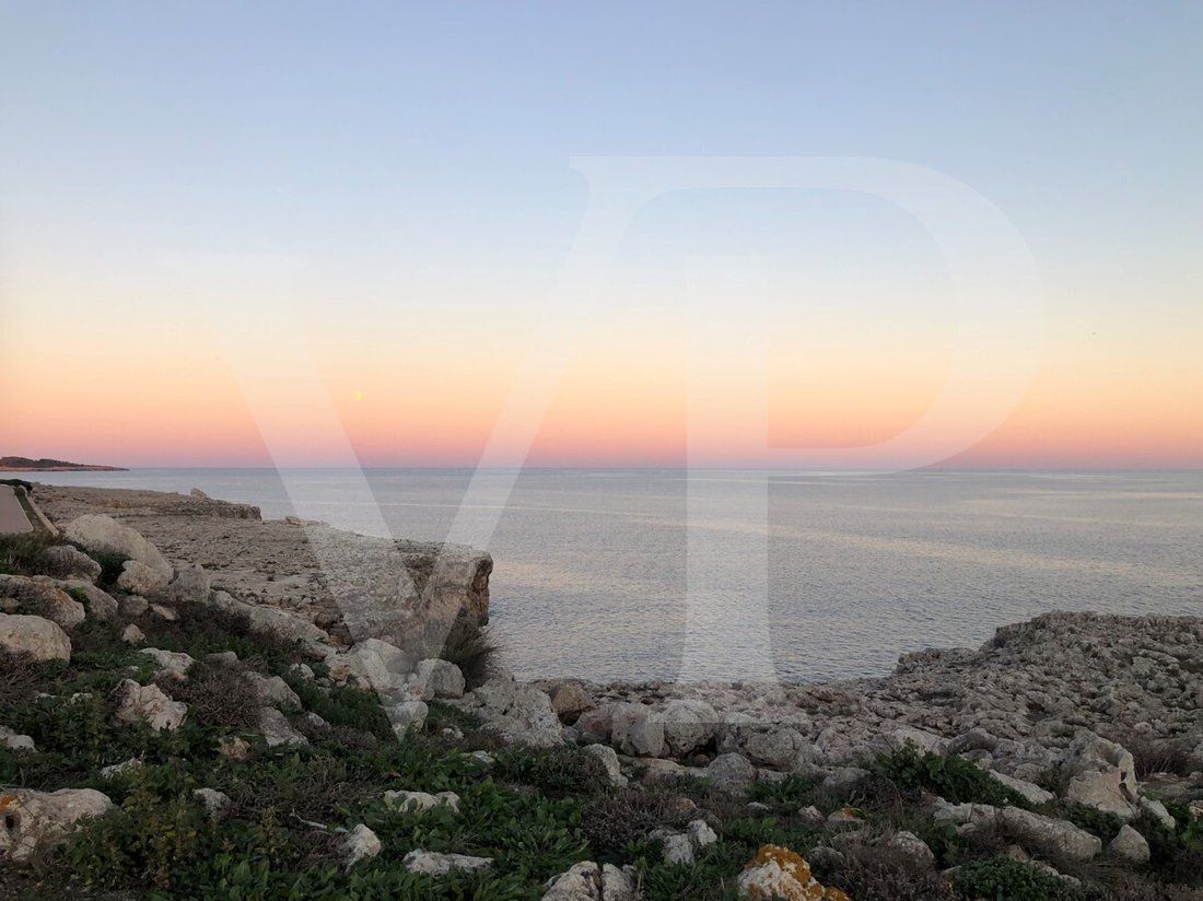 Land in Manacor, Balearic Islands, Spain 5 - 18009643