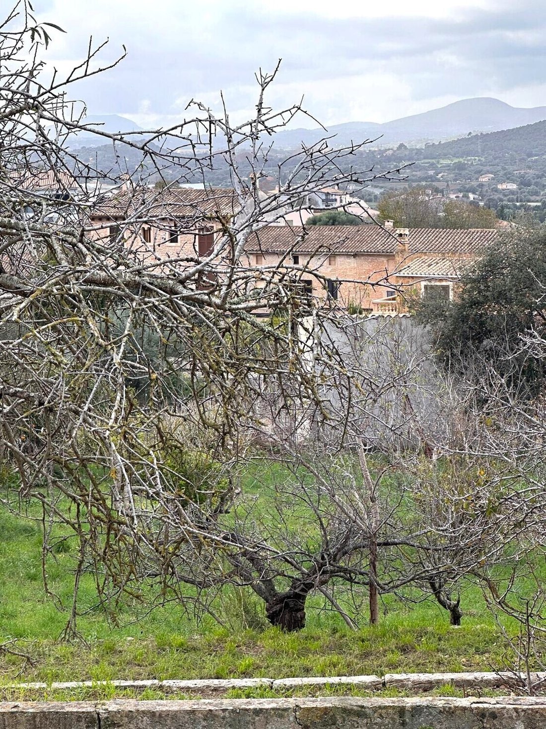 Land in Capdepera, Balearic Islands, Spain 3 - 18011287