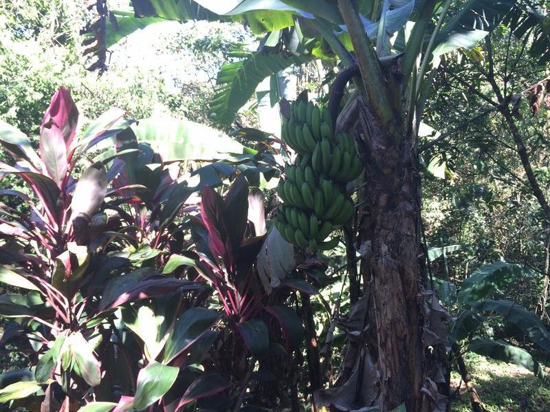 House in Mogote de Bagaces, Guanacaste Province, Costa Rica 4 - 18004563