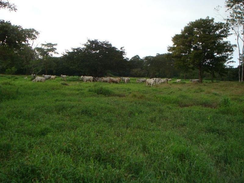 House in Cañas, Guanacaste Province, Costa Rica 1 - 18004582