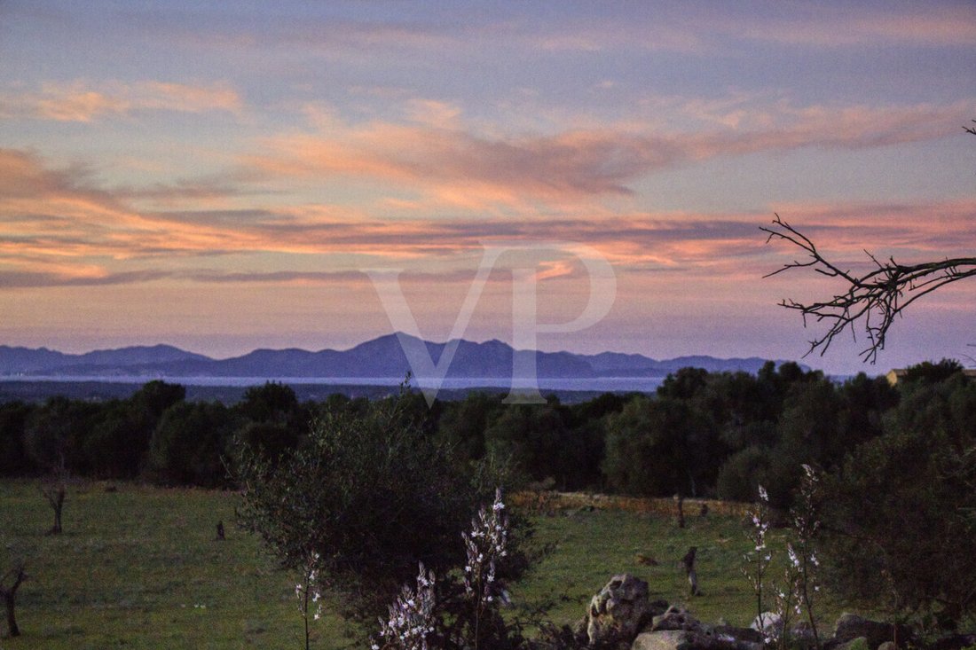 Land in Manacor, Balearic Islands, Spain 2 - 18008958