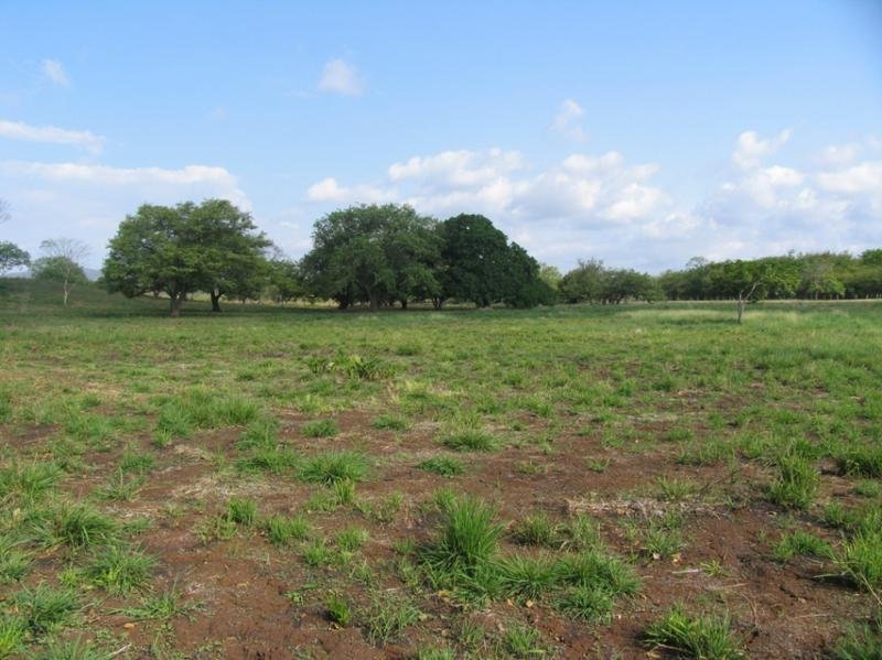 Land in Santa Rosa, Provinz Guanacaste, Costa Rica 4 - 18004516