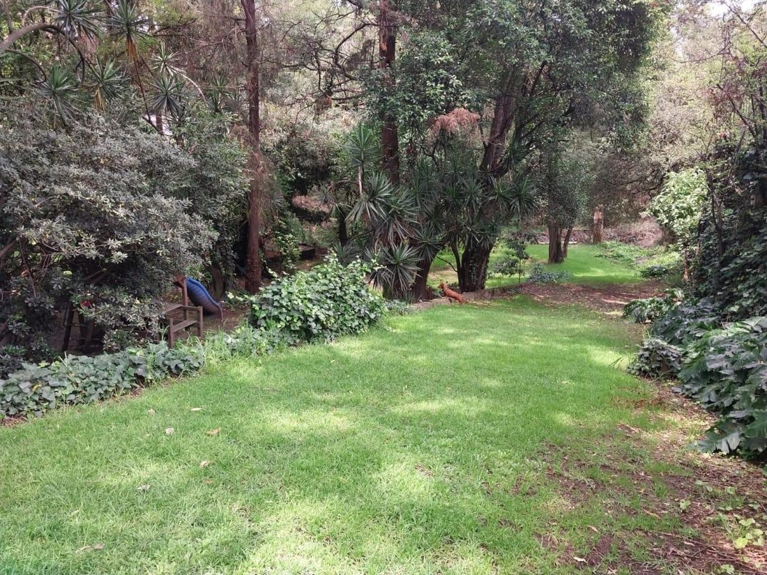 House in Mexico City, Mexico City, Mexico 4 - 18006662