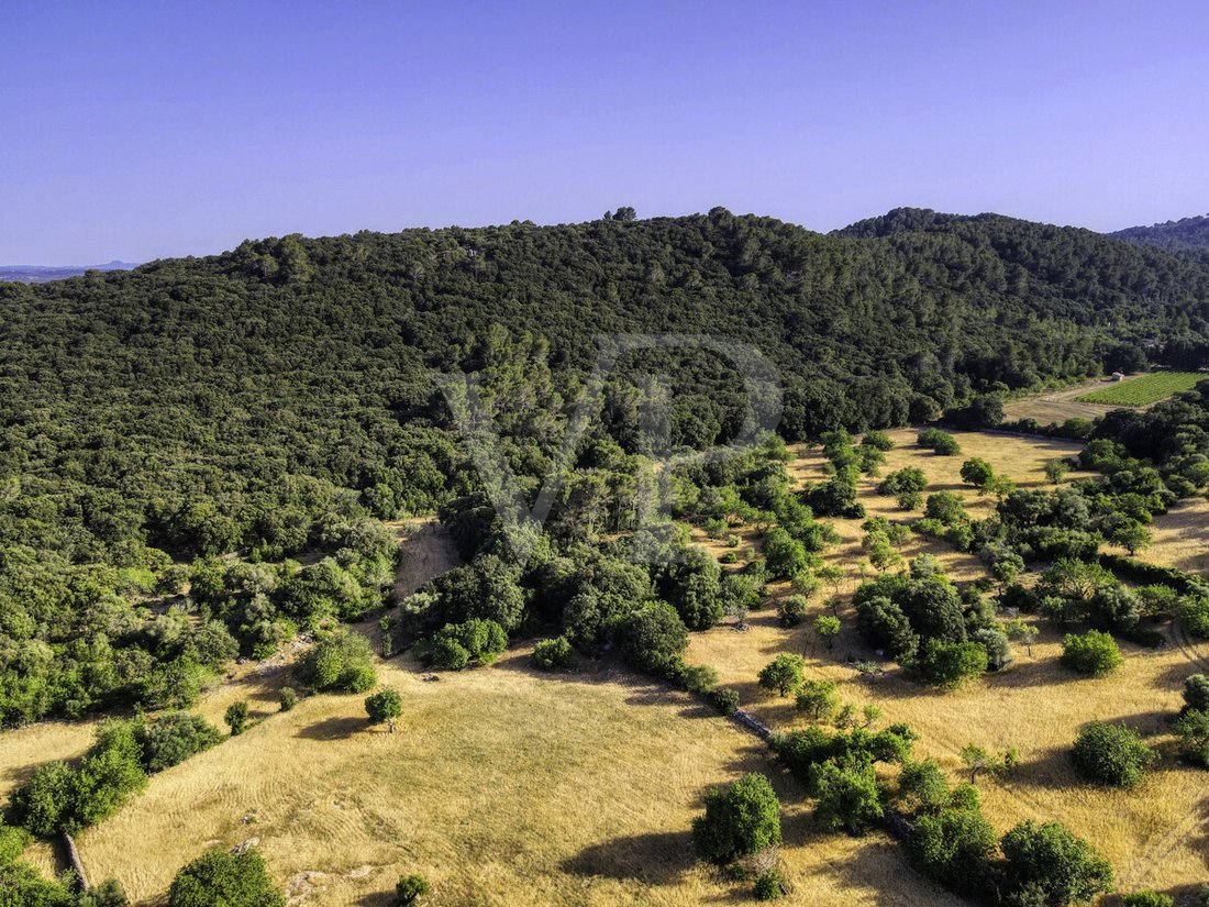 Finca in Pollenca, Balearic Islands, Spain 3 - 18009011