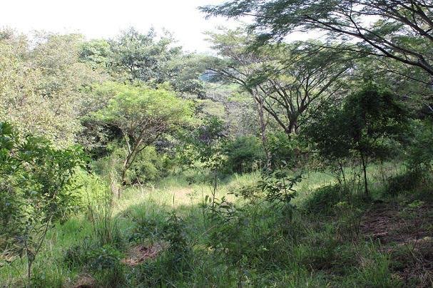 Land in San José, Guanacaste Province, Costa Rica 3 - 18004719