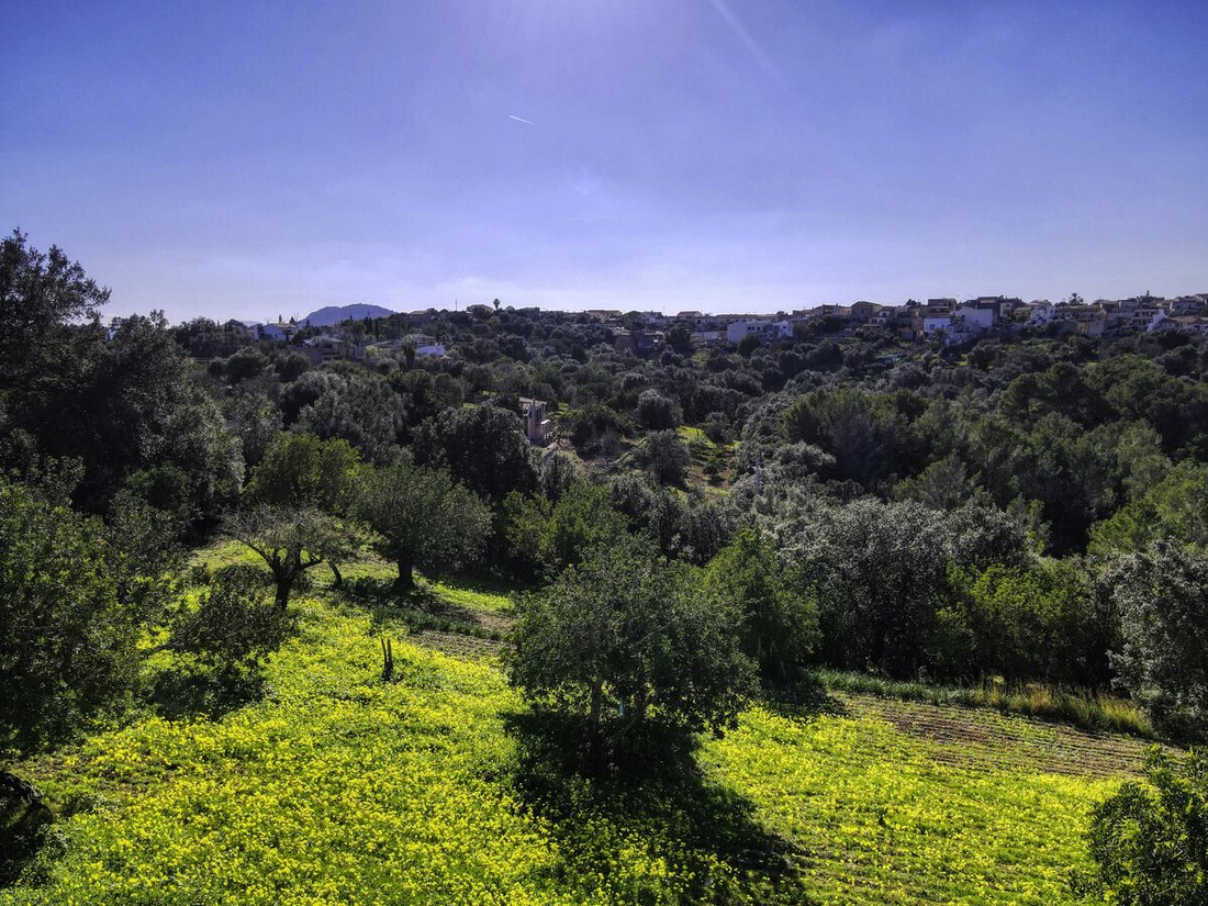 Land in Campanet, Balearic Islands, Spain 5 - 18009311