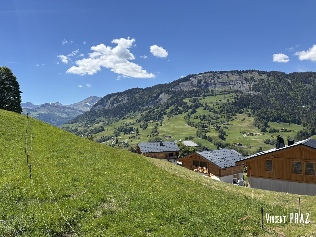 Chalet in Praz-sur-Arly, Auvergne-Rhône-Alpes, France 3 - 17010301