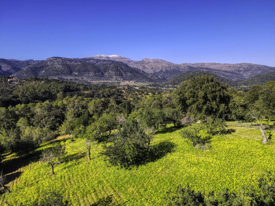 Land in Campanet, Balearic Islands, Spain 3 - 18009311
