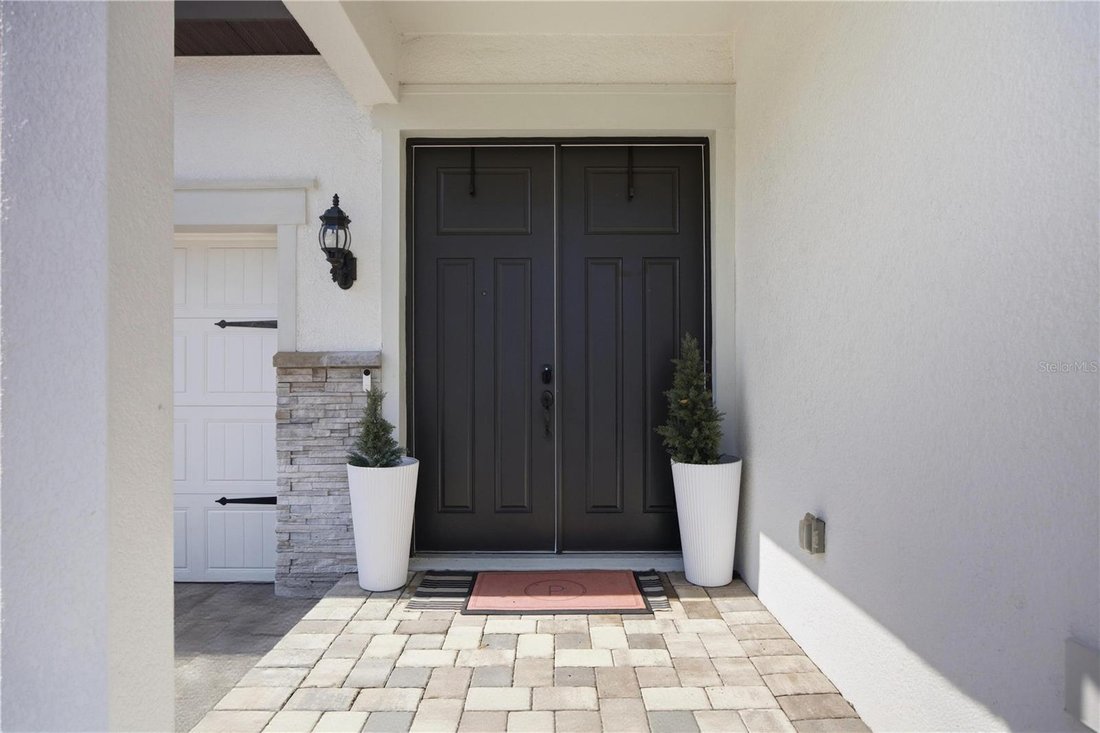 House in Riverview, Florida, United States 5 - 18008134